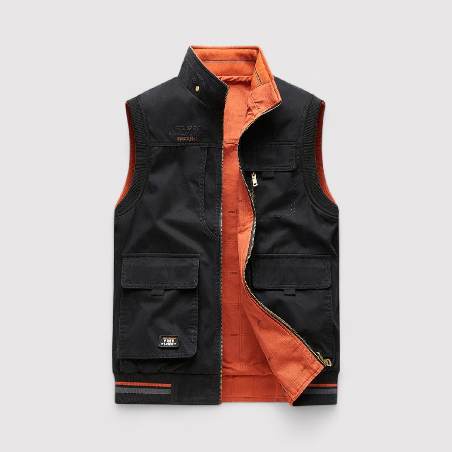 ヴィオン | プレミアム・ベスト