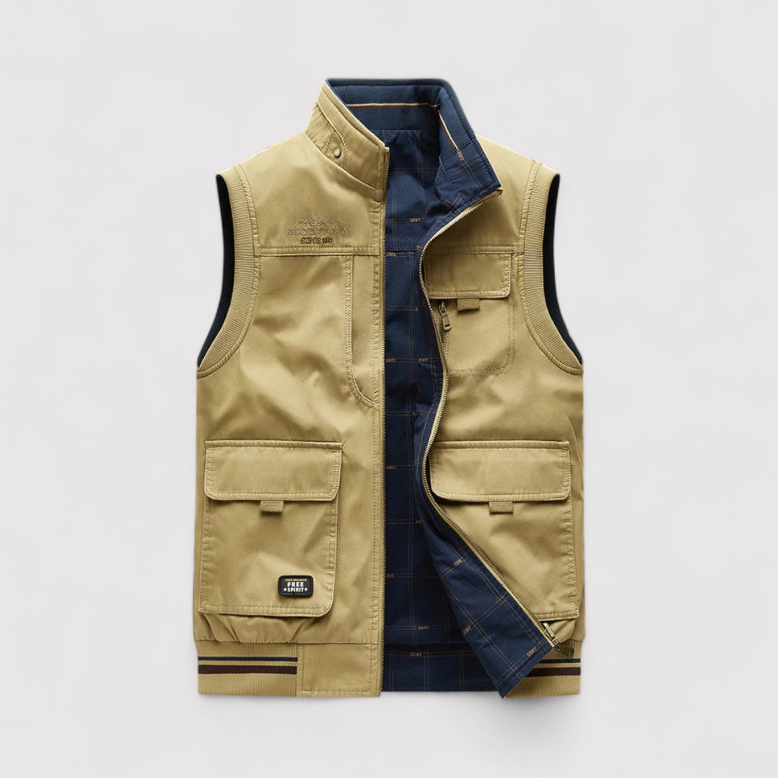 ヴィオン | プレミアム・ベスト